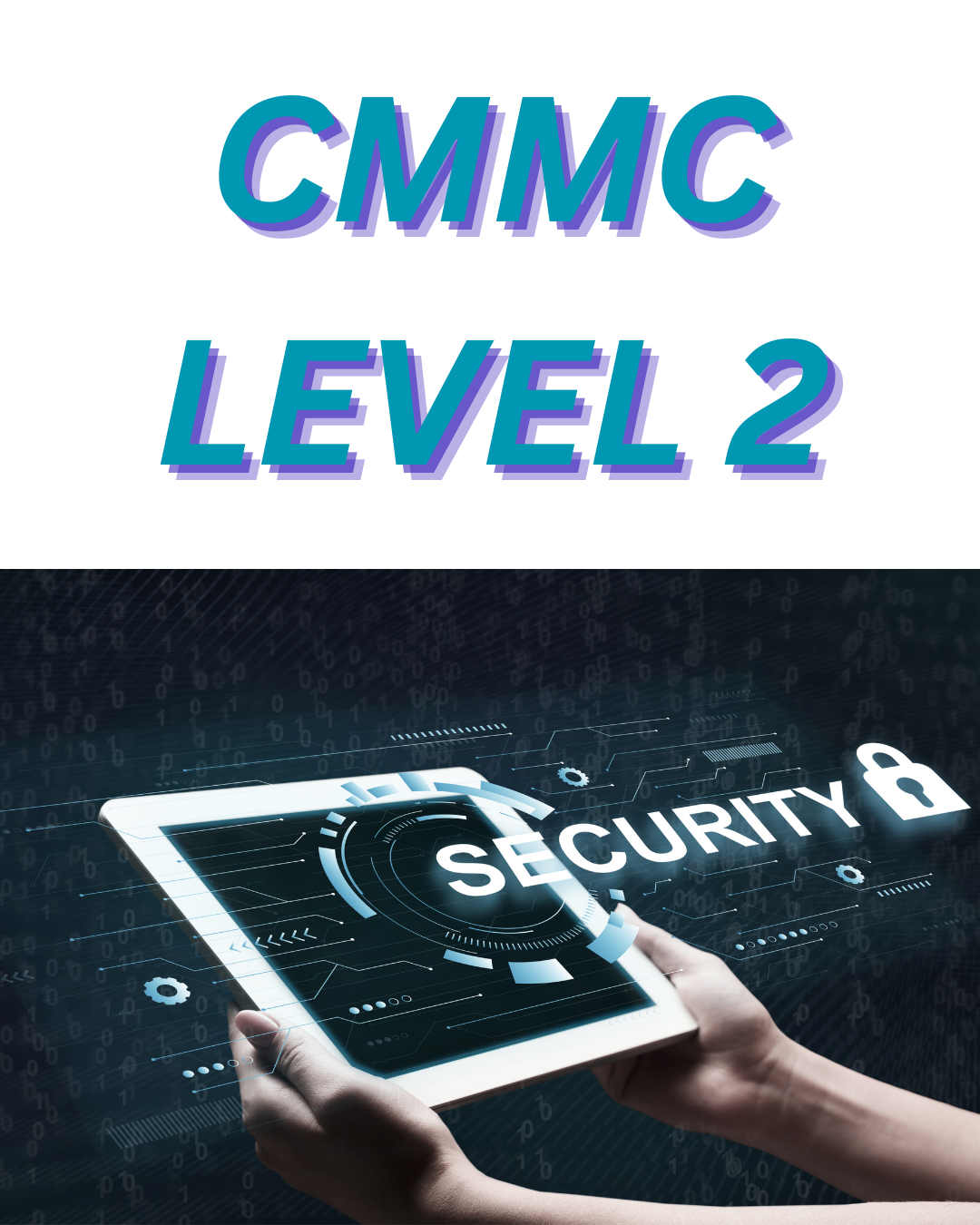 CMMC Level 2: Achieving Compliance with the 110 Requirements — URS ...