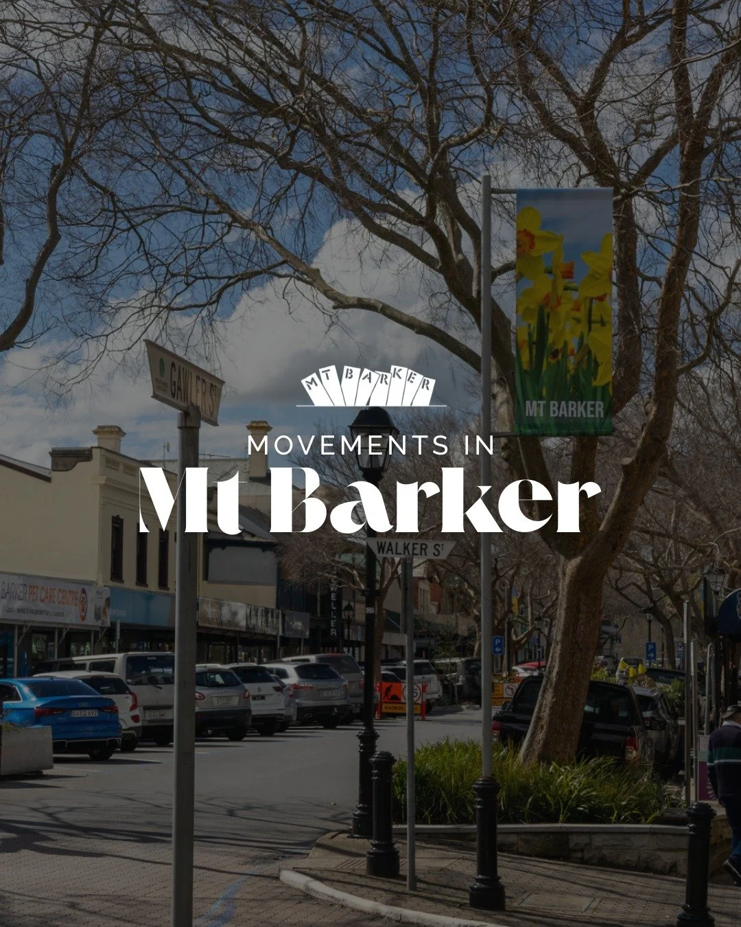 There&rsquo;s always something new to discover in Mount Barker! This month we&rsquo;re welcoming fresh faces and new businesses into the CBD, adding even more variety right here in the heart of town.

🐕 @timeless_tails_dog_grooming have moved to 70 