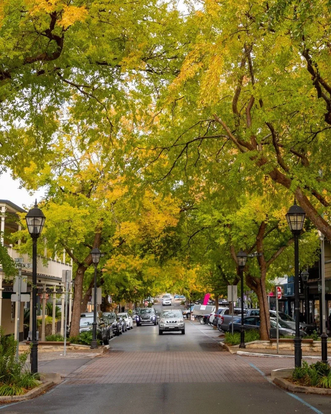 🍂 There&rsquo;s something special about Mount Barker in every season! From the tree-lined streets to the local cafes and bustling small businesses, our town continues to grow while keeping its country charm.

Whether you&rsquo;re shopping, dining, o