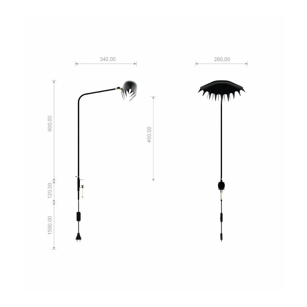 drosera_measurements.jpg