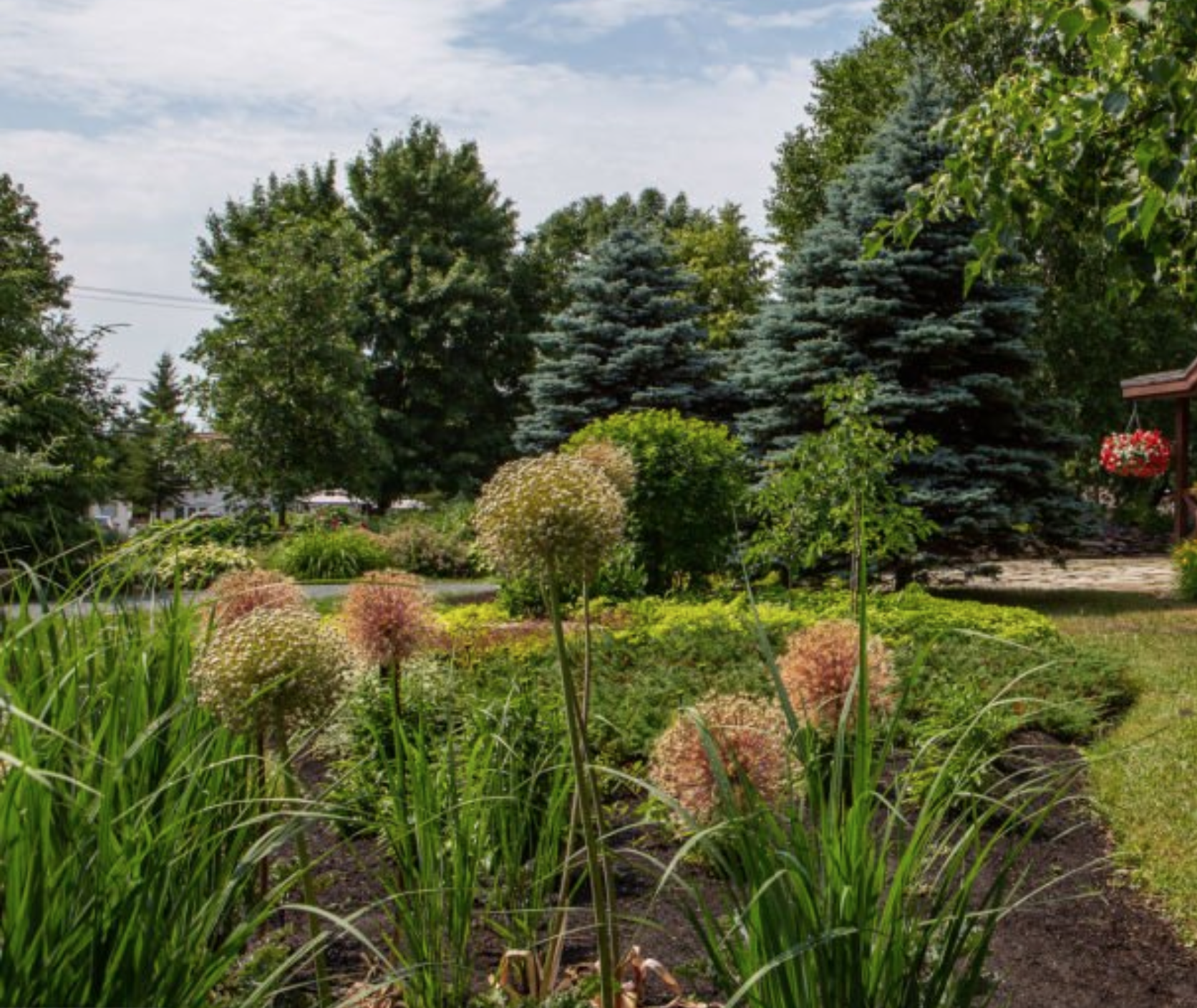 Rosie landscaping and property maintenance