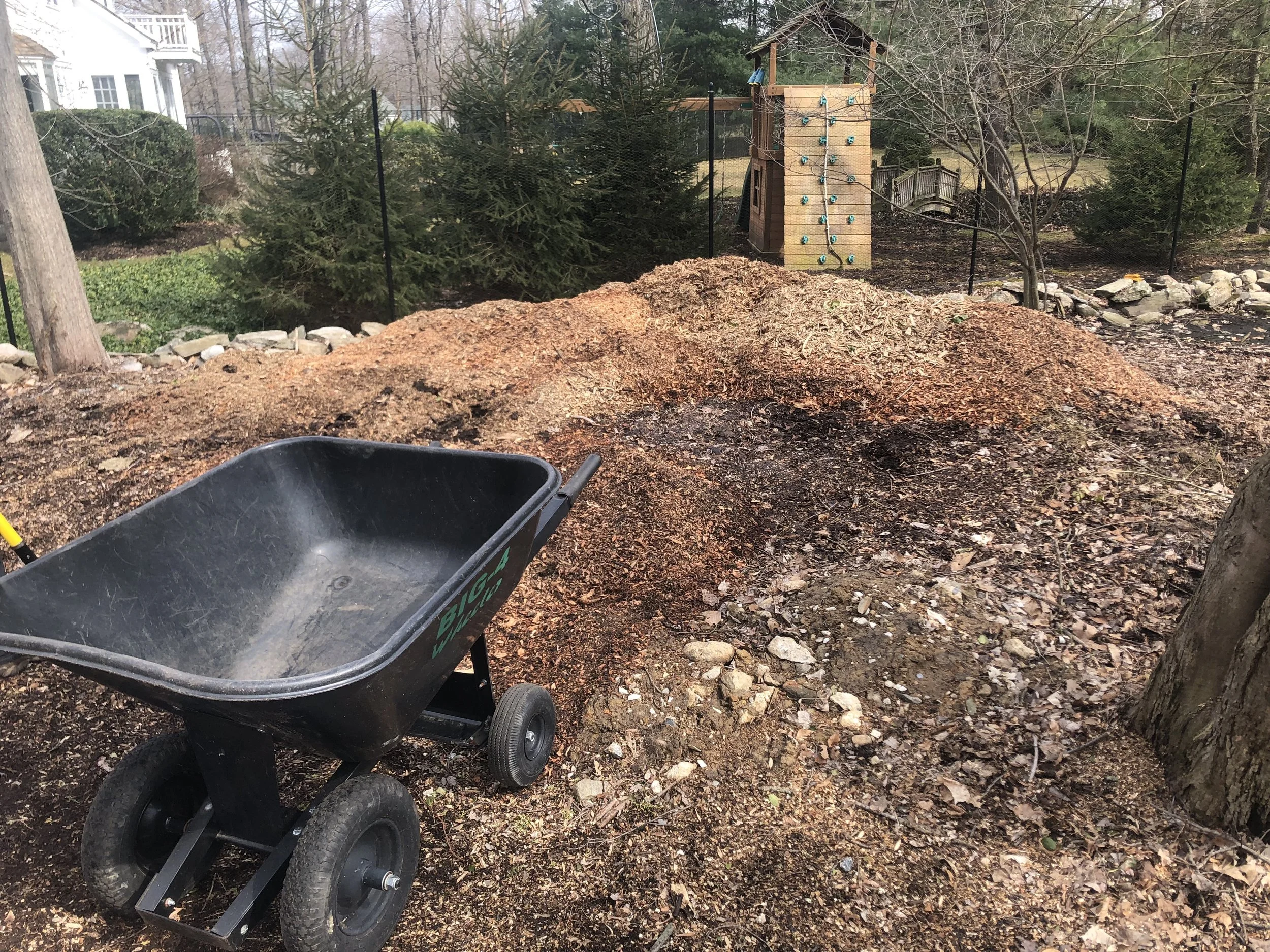 4 tons of chips from 8 tree stumps hauled away and recycled