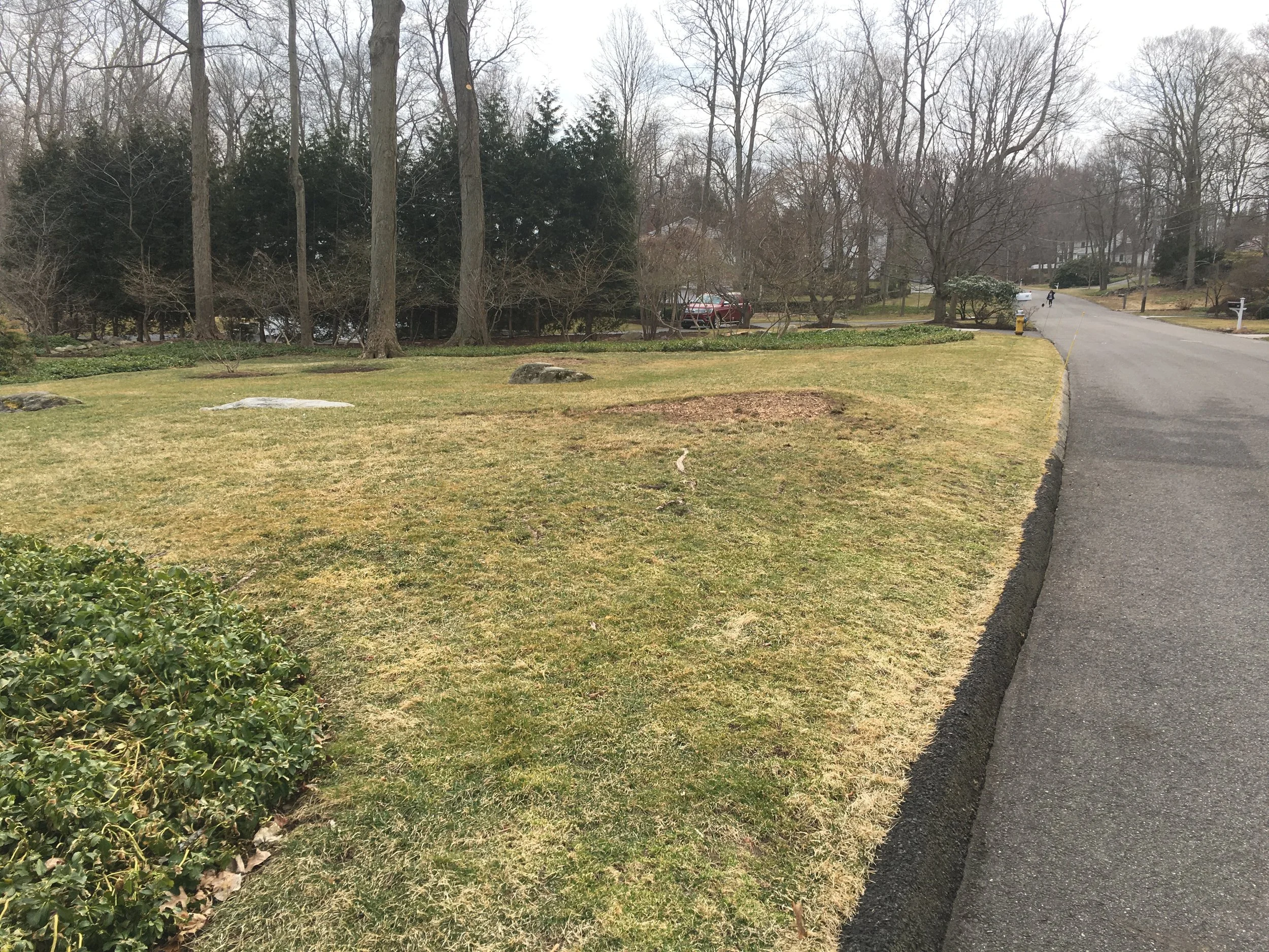 Debris removed from lawn and street