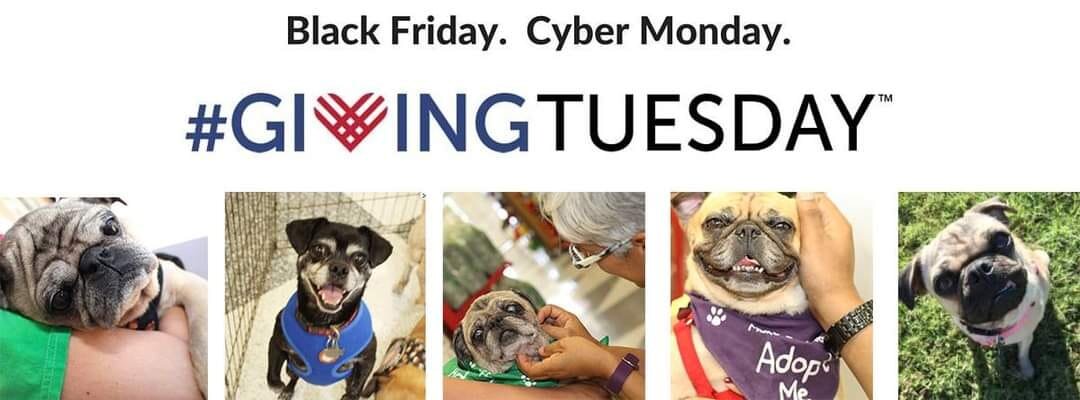 Help us reach our goal of raising $2000 in our Facebook #GivingTuesday campaign!