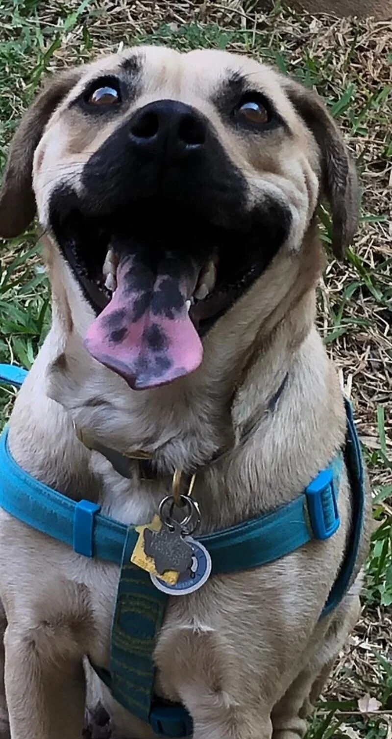 kona+1%2C+4.14.21_web.jpg