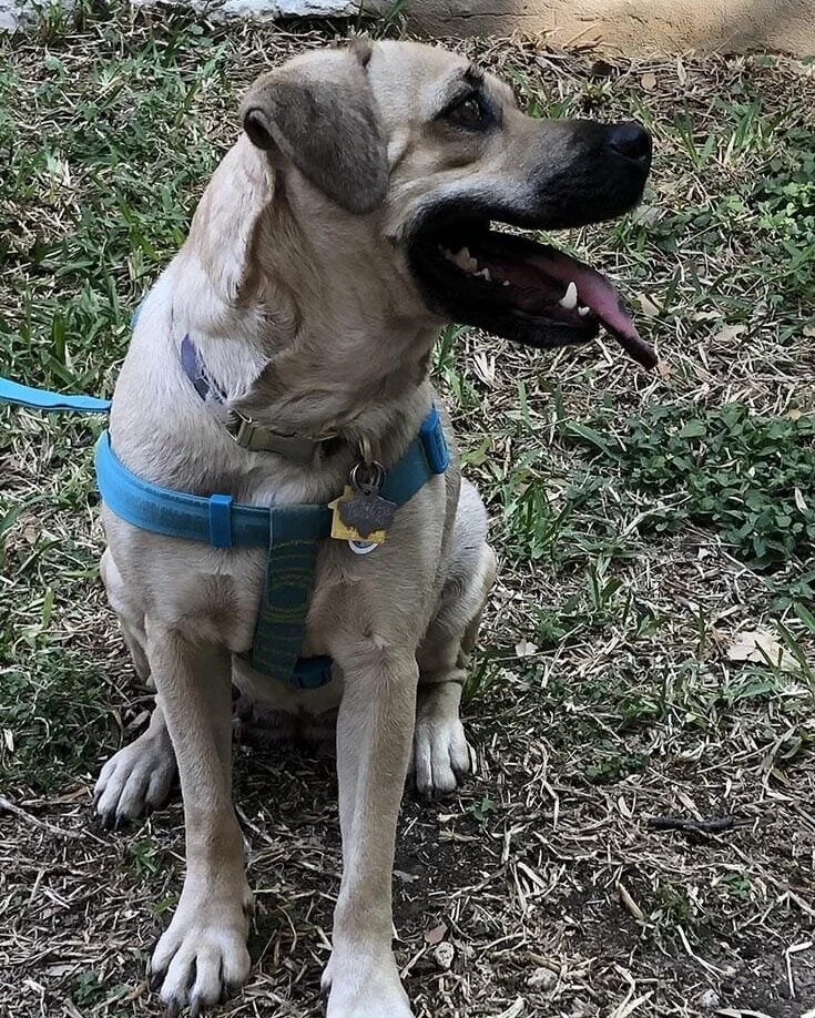kona+2%2C+4.14.21_web.jpg