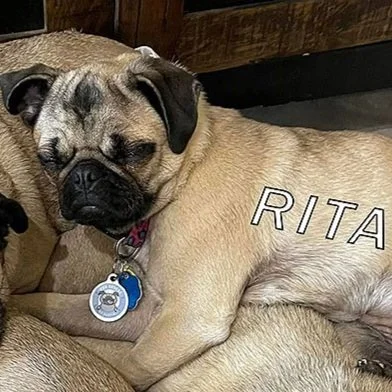Rita