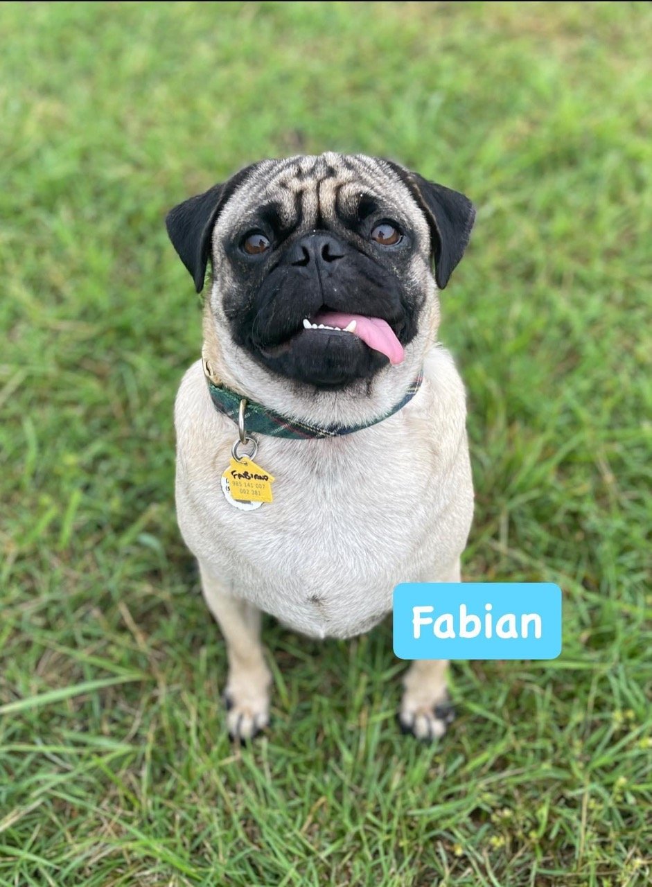 fern and fabian-web-2.jpeg