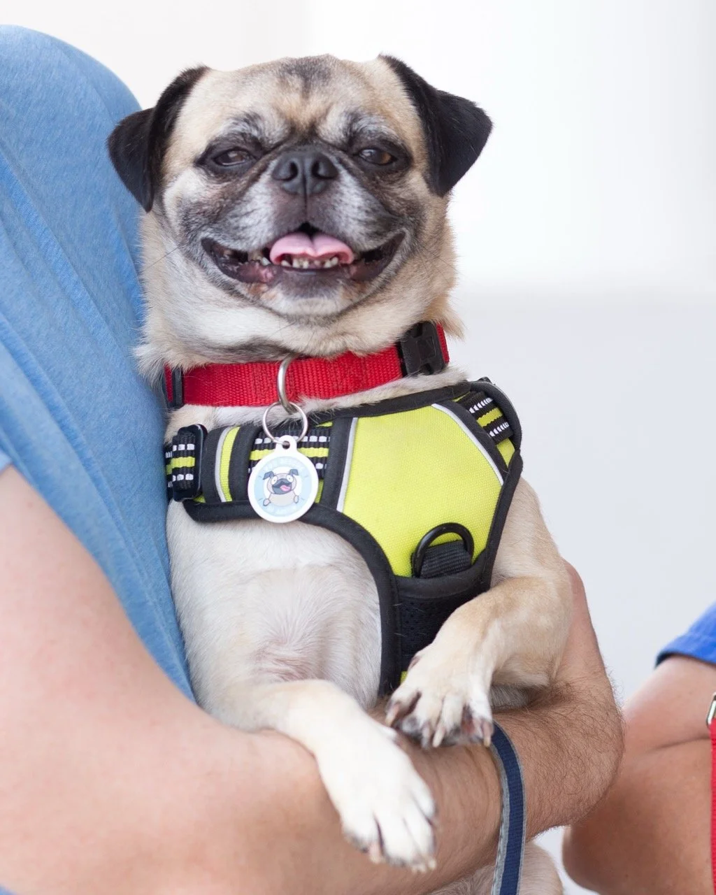 brock and gustopher-web-2.jpeg