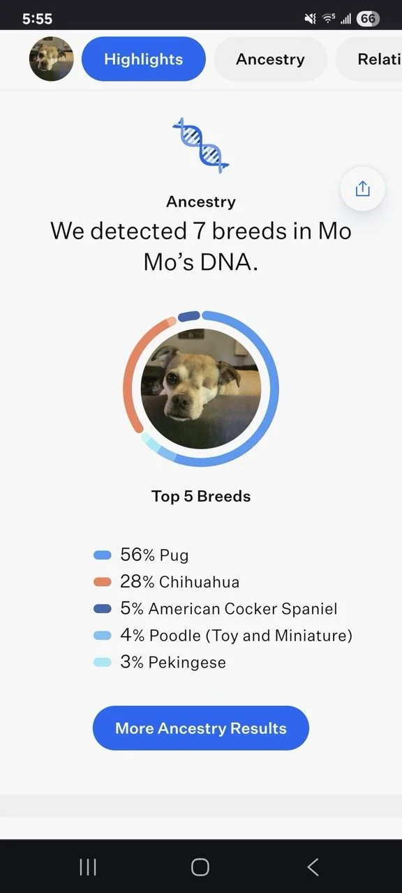 montana-DNA-web.jpeg