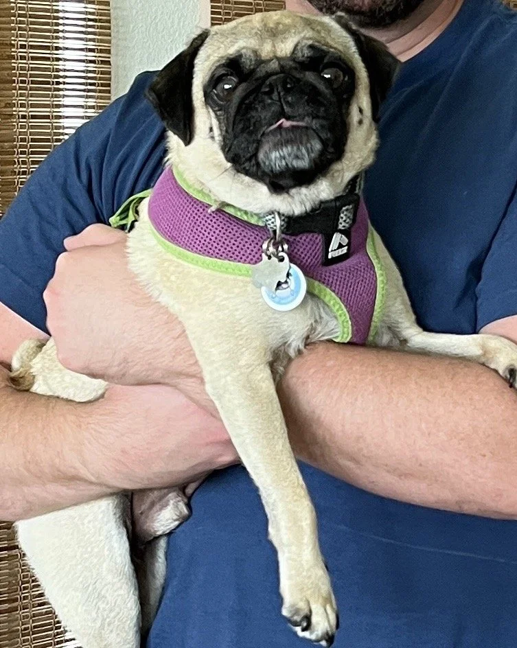 bosley-web-3.jpeg
