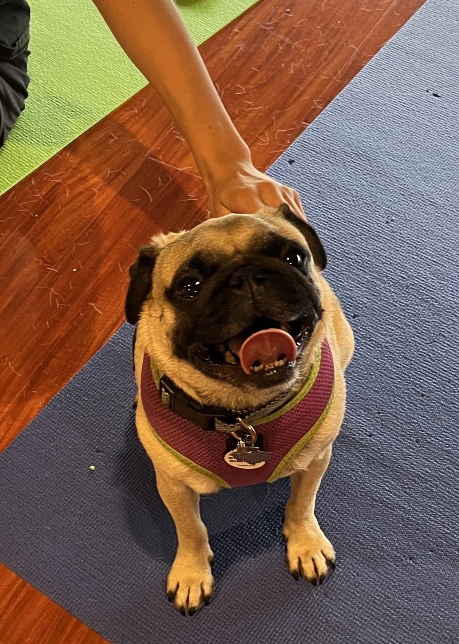 bosley-web-4.jpeg