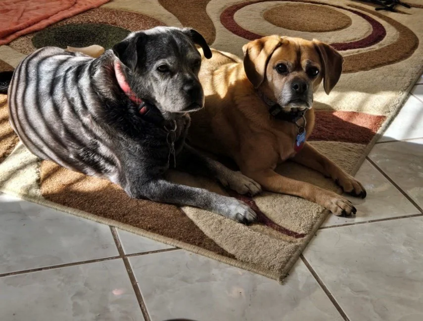 Buster & Jiggy