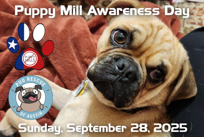 Puppy Mill Awareness Day