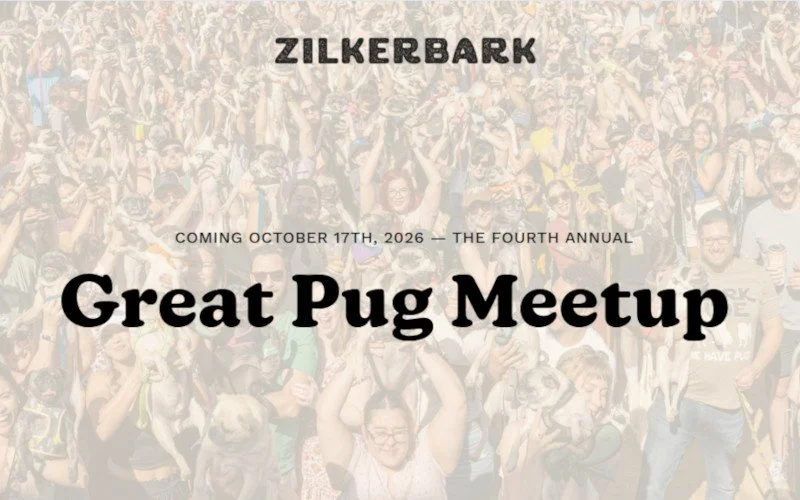 Great Pug Meetup