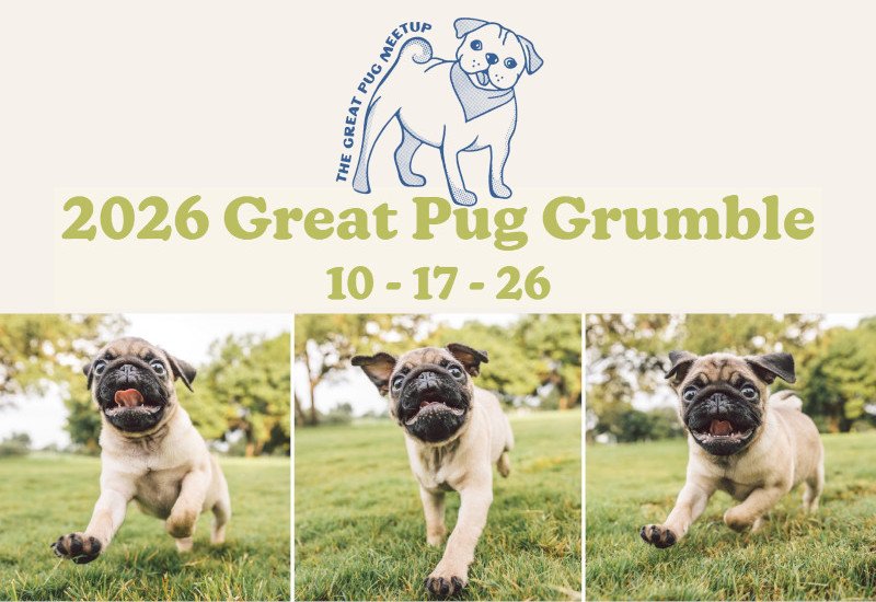 The Great Pug Grumble - Zilker Bark