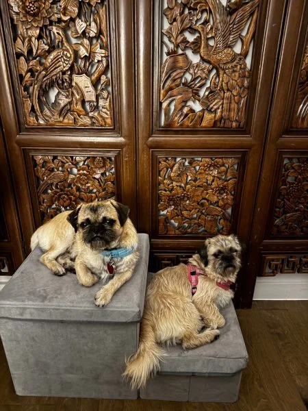 peas-and-carrots01.jpg (Copy)