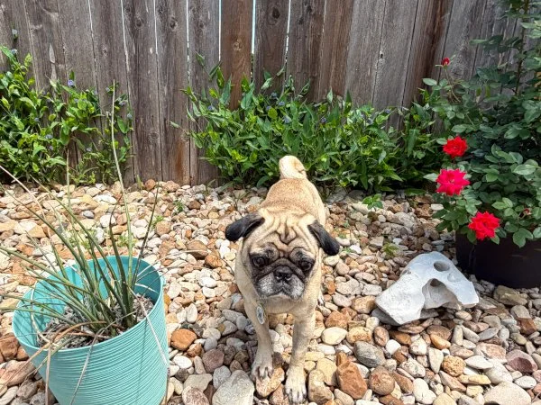 nashville04.jpg