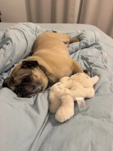 tallulah-10.jpeg