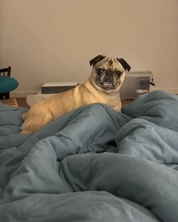 tallulah-06.jpeg