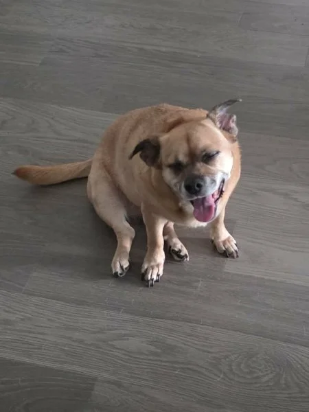 mercury-06.jpeg