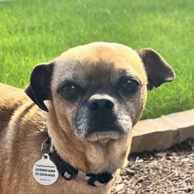 Mateo