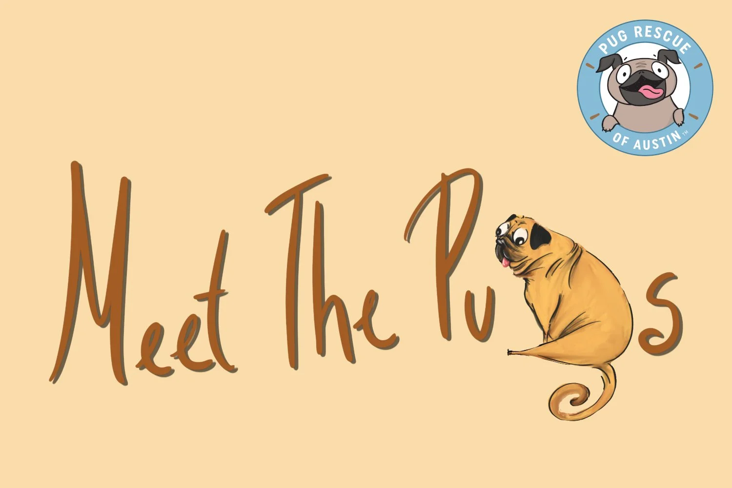 Meet the Pugs @ Pet Supplies Plus Mopac
