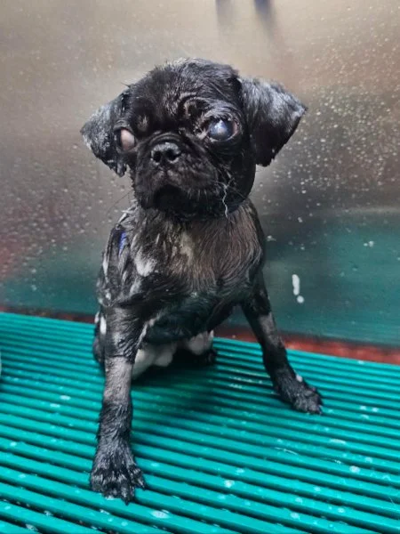wonder07.jpg