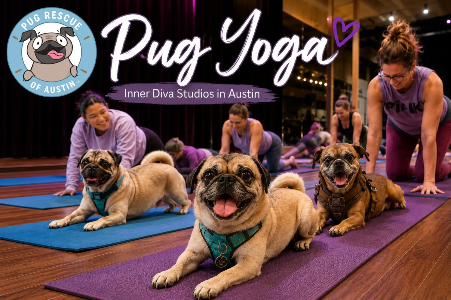 Pug Yoga (Summer Edition)
