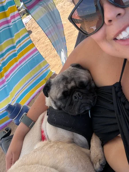 pugzilla05.jpg