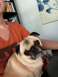 hattie04.jpeg