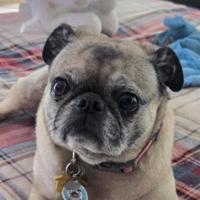 Tallulah