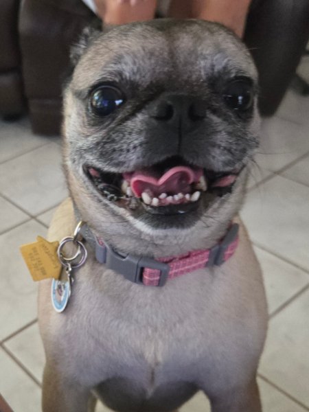 tallulah09.jpg