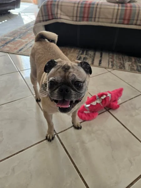 tallulah05.jpg