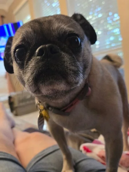 tallulah03.jpg