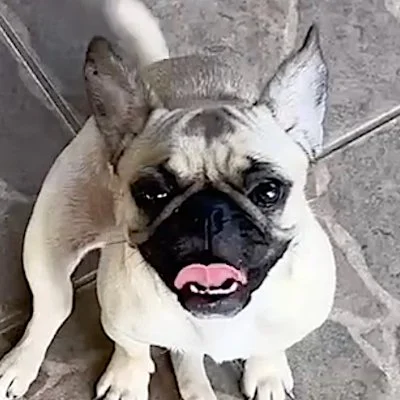 Margot