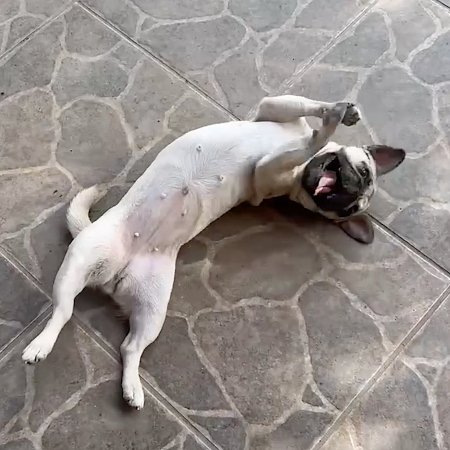 margot05.jpg