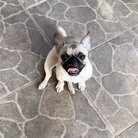 margot04.jpg