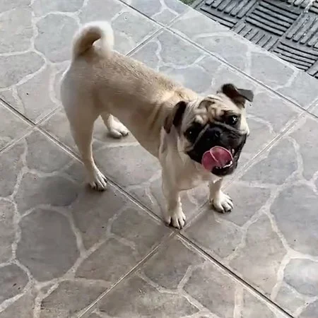 margot02.jpg