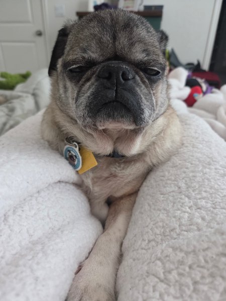 gary02.jpg