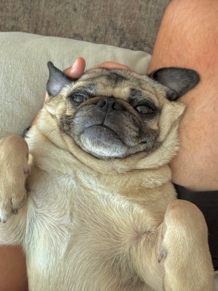 howie-vinny14.jpg