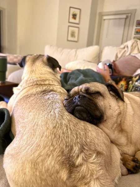 howie-vinny10.jpg