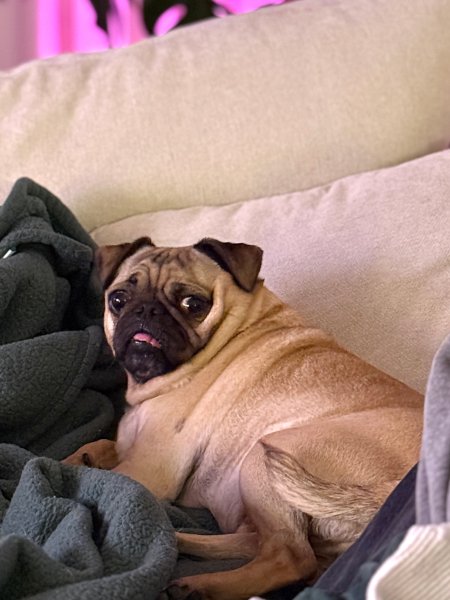 howie-vinny09.jpg