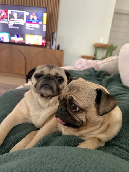 howie-vinny03.jpg