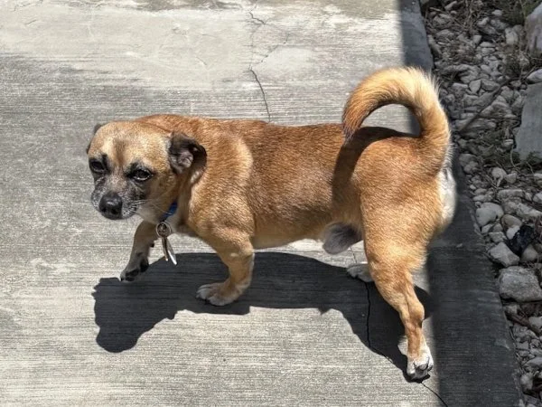rocko06.jpg