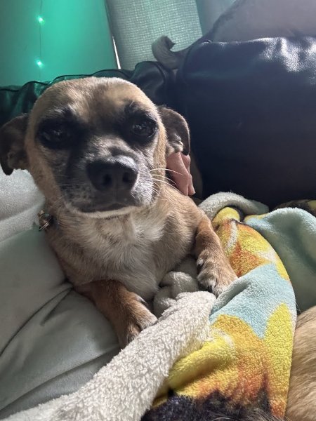rocko04.jpg
