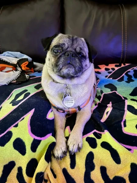 trudy05.jpg