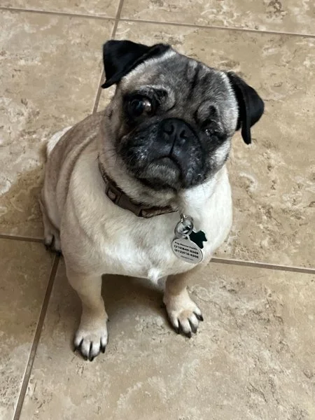trudy03.jpg
