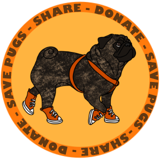 Meet the Pugs &amp; Pug-A-Thon Appreciation
