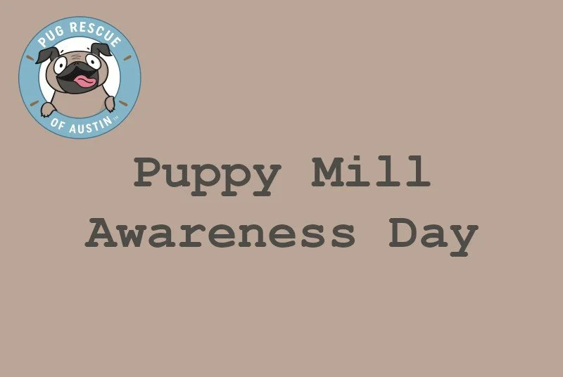 Puppy Mill Awareness Day